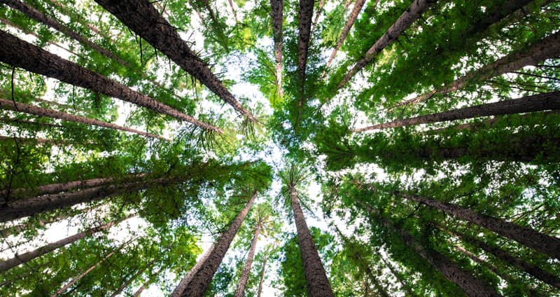 CCU i fjärrvärmen – möjligheter, utmaningar och vägen framåt.jpg