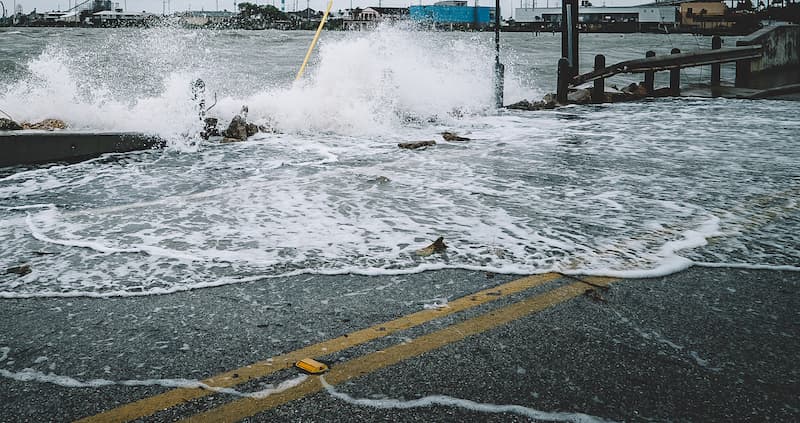 Om projektete Klimatförändringarnas konsekvenser
