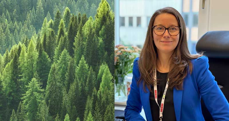 Anna Törner, Webbinarium 15 Oktober