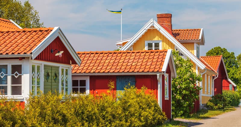 Bild Till Webben 2024 1053